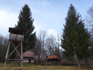 komanca
